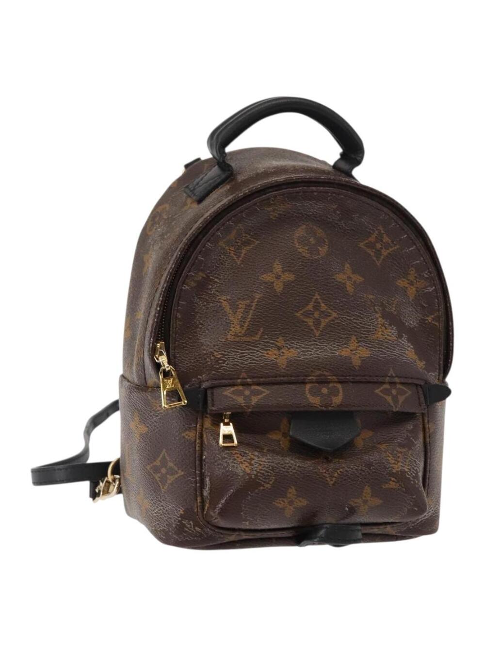 Louis Vuitton Palm Springs Mini #344438L93B